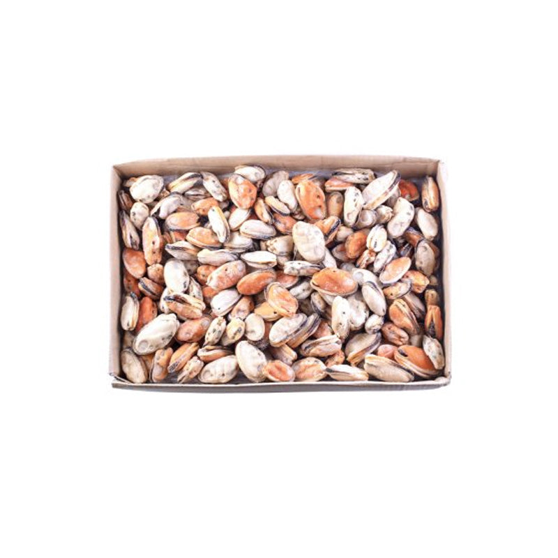 FROZEN COOKED HALF SHELL MUSSEL