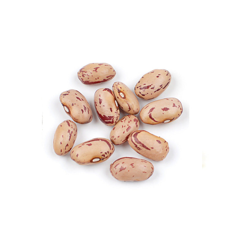 DRIED CRANBERRY BEANS