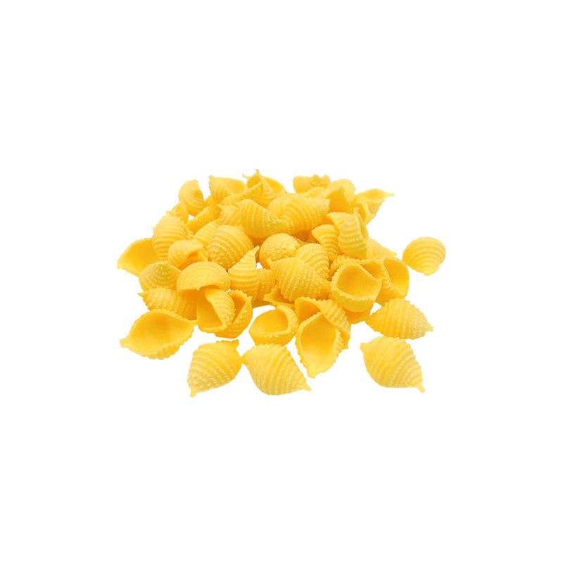 PS SHELL (SMALL) DAKOTA 20# *겨울 삭