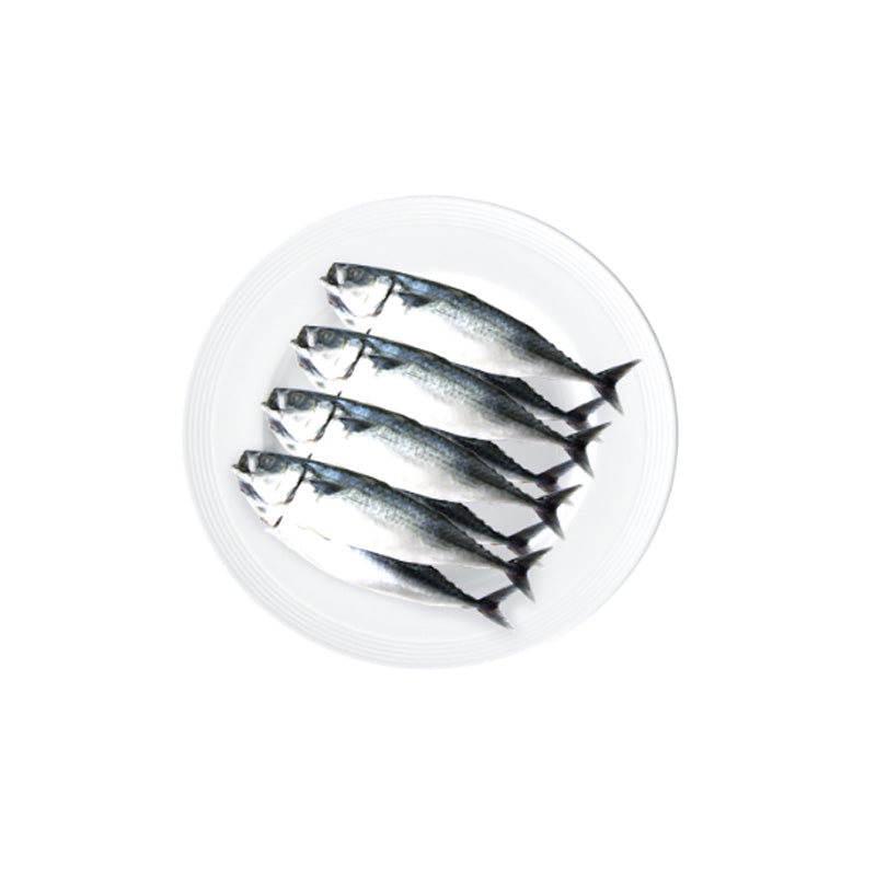 SALTED MACKEREL - 고등어