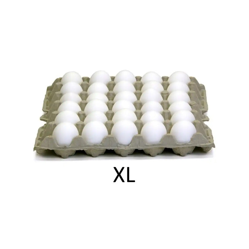 EGG X-LARGE SIZE ~ 30 DZ