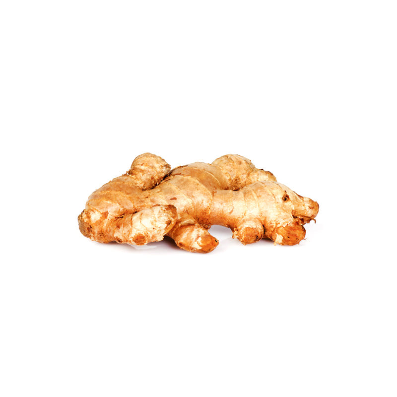 GINGER UNIT BAGGED