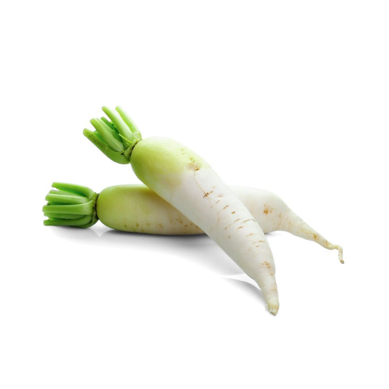 CHINESE RADISH - 중국 무