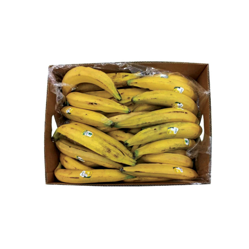 YELLOW PLANTAIN