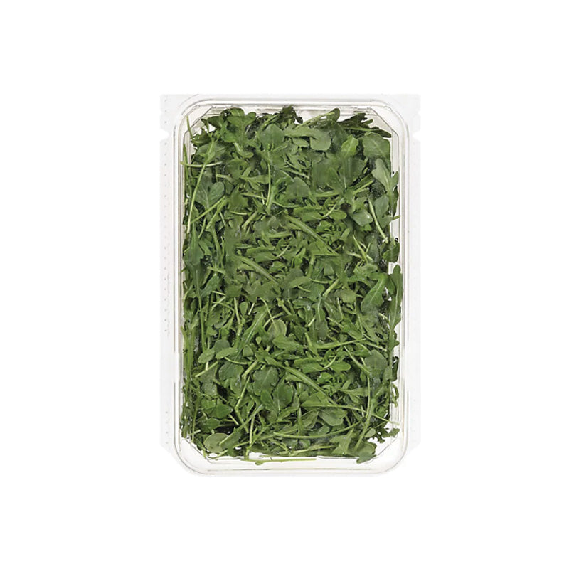 BABY ARUGULA