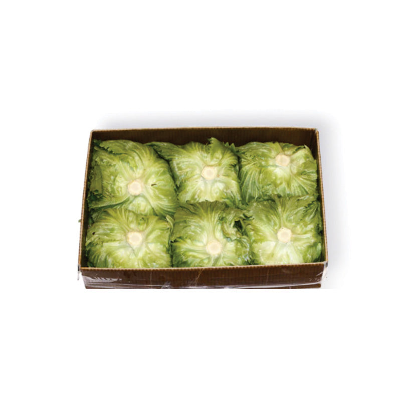GREEN LEAF LETTUCE