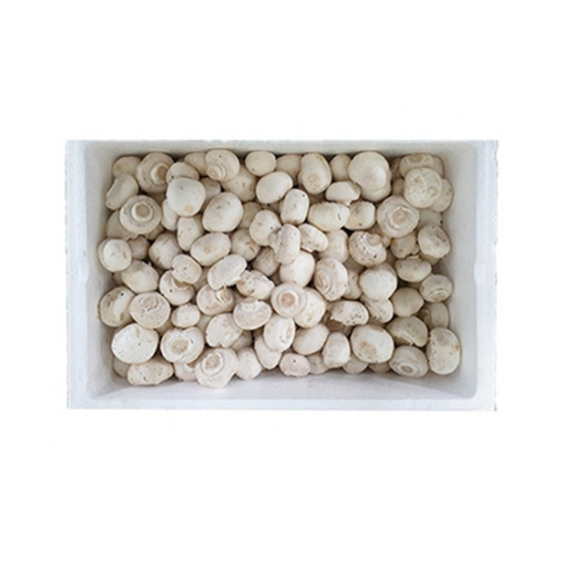 MEDIUM WHITE BUTTON MUSHROOM