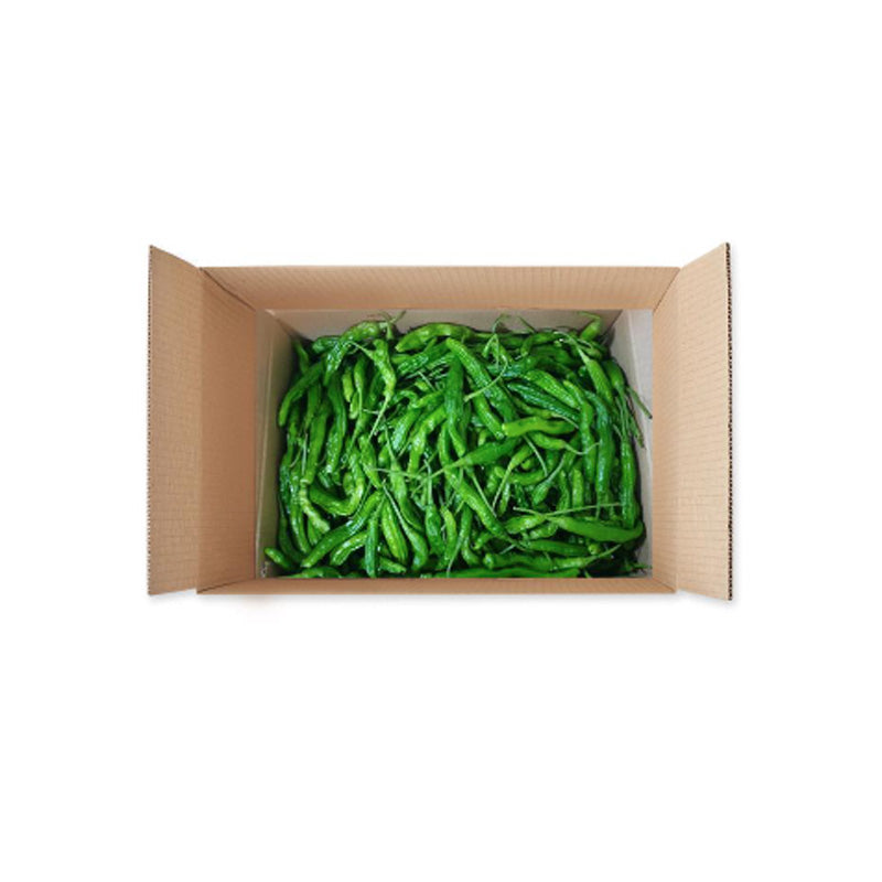 TWISTED PEPPER CASE