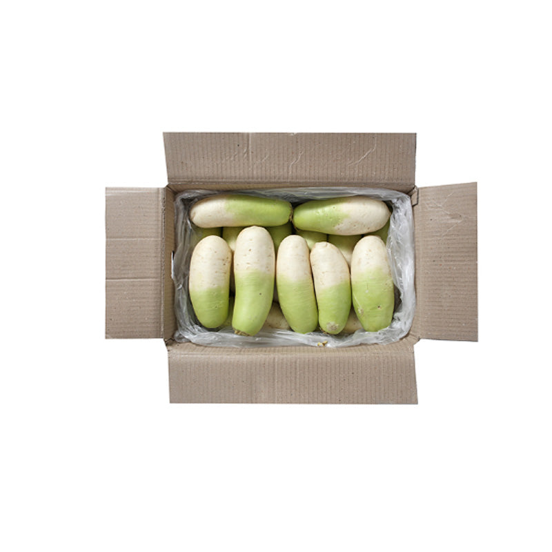 P-RADISH JEJU 제주무우/박스HI MI무