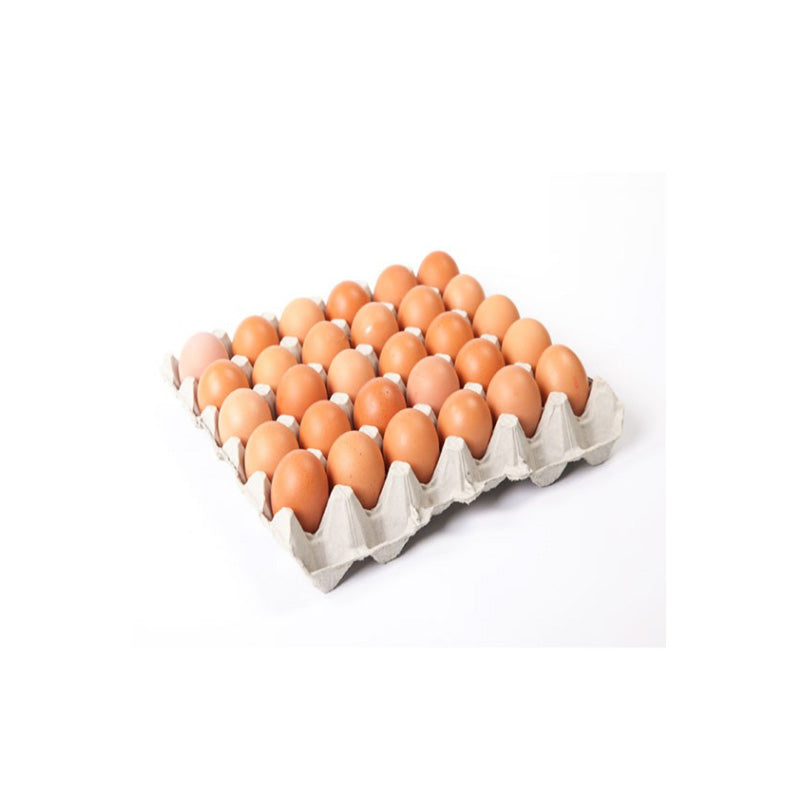 EGG MEDIUM SIZE