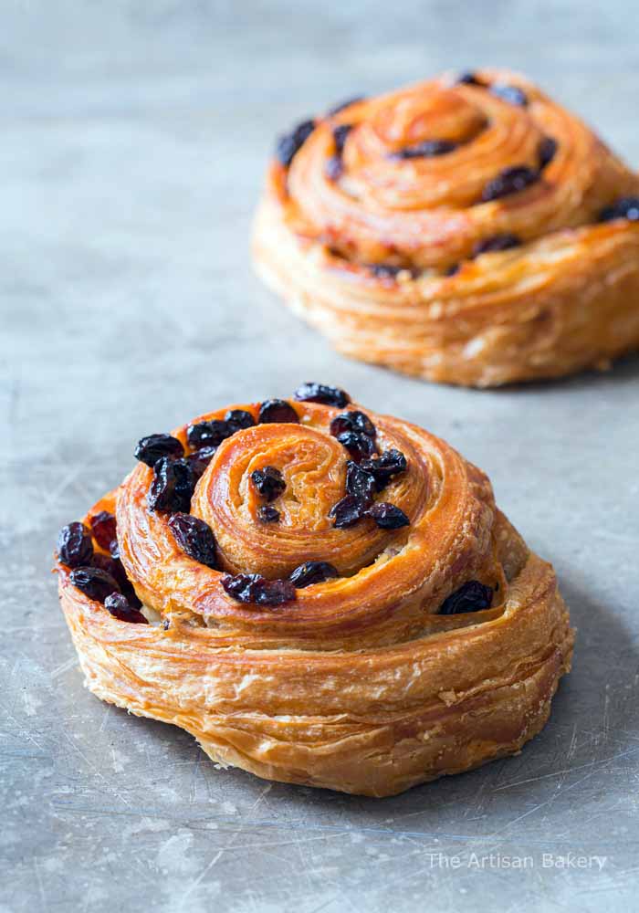 LARGE RAISIN SWIRL ~ [72 * 100G]