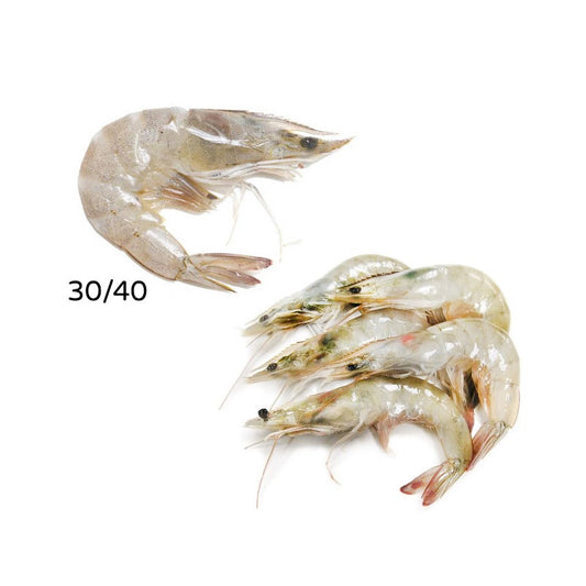 HEAD ON FROZEN SHRIMP 30/40 ~ 6 PACK