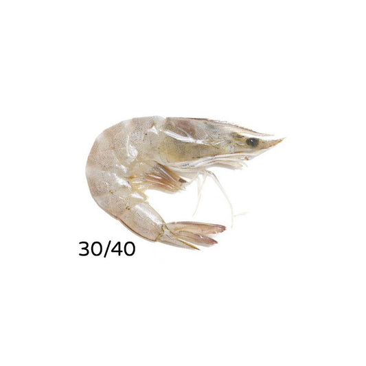 HEAD ON FROZEN SHRIMP 30/40 ~ 10 PACK