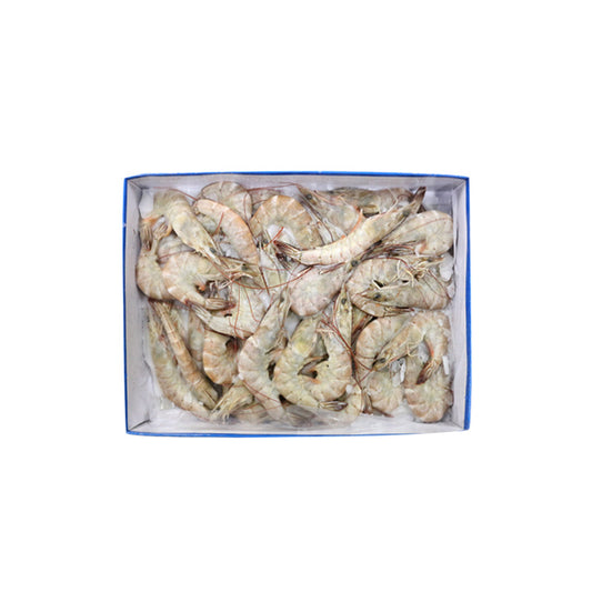 HEAD ON FROZEN SHRIMP 40/50