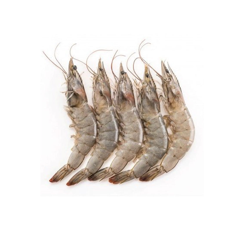 SHRIMP HEAD ON 50/60 6/4LB