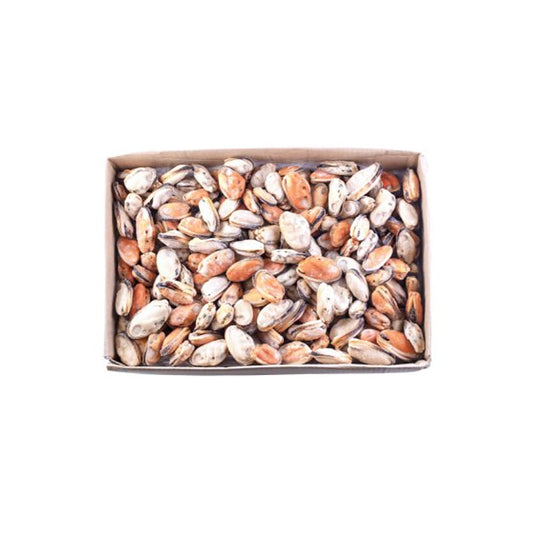 FROZEN COOKED HALF SHELL MUSSEL