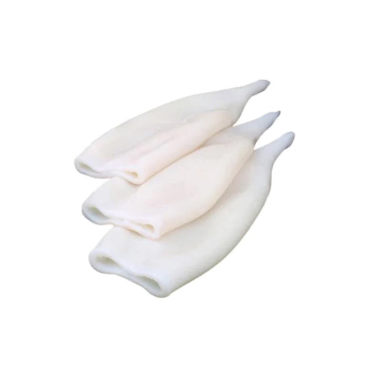 CALAMARI TUBES U5