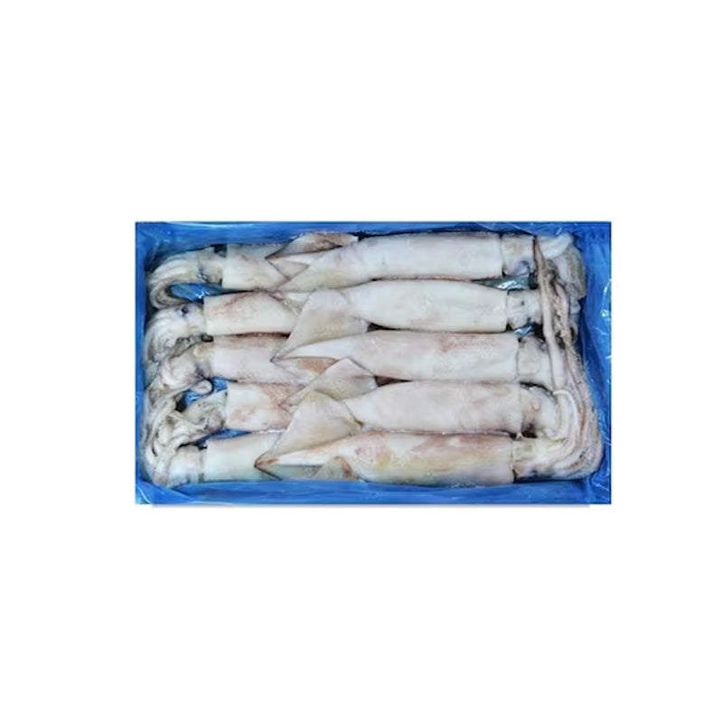 SQUID FROZEN TUBES 600/UP
