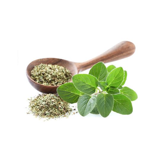 OREGANO