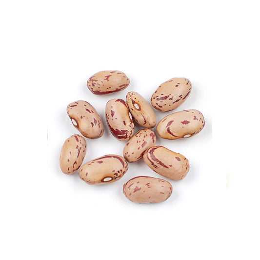 DRIED CRANBERRY BEANS