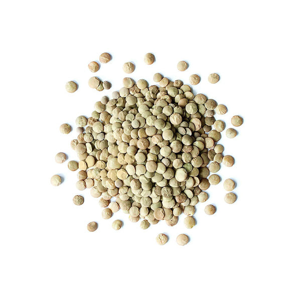 DRIED LENTIL BEANS