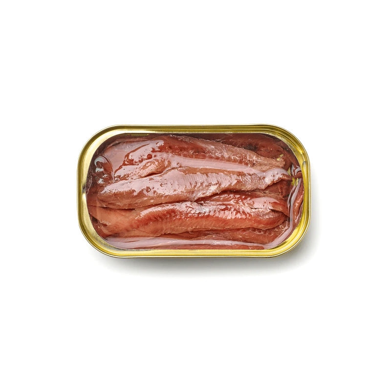 CANNED ANCHOVY