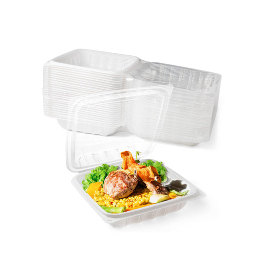 (HOPE) HINGED POLYPRO PLASTIC CONTAINER ~ 8 x 8