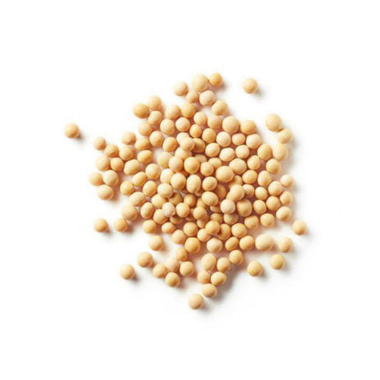 YELLOW SOYBEAN - 메주콩