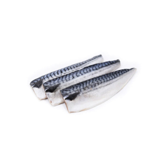 MACKEREL - 고등어 ~ 400/600