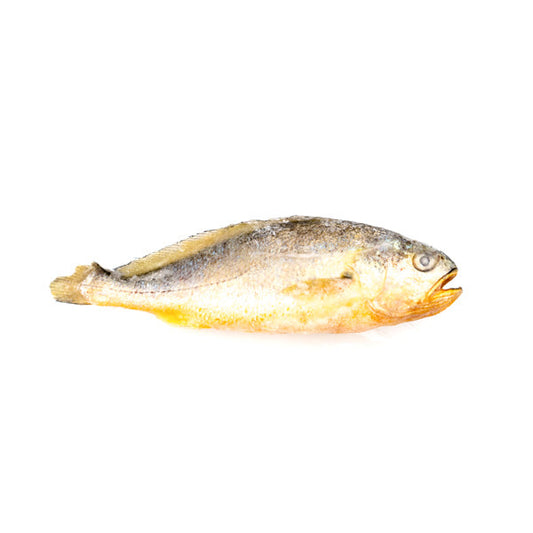 YELLOW CROAKER - 참조기 ~ 200/300
