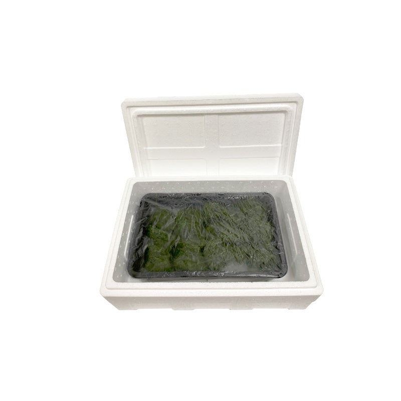 FROZEN GREEN LAVER - 냉동 파래