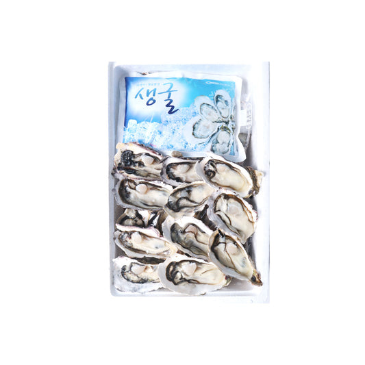 HALF SHELL OYSTER - 석화