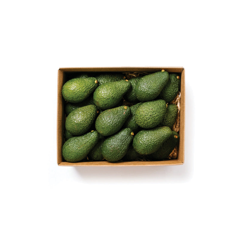 AVOCADO