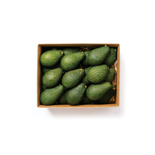 AVOCADO
