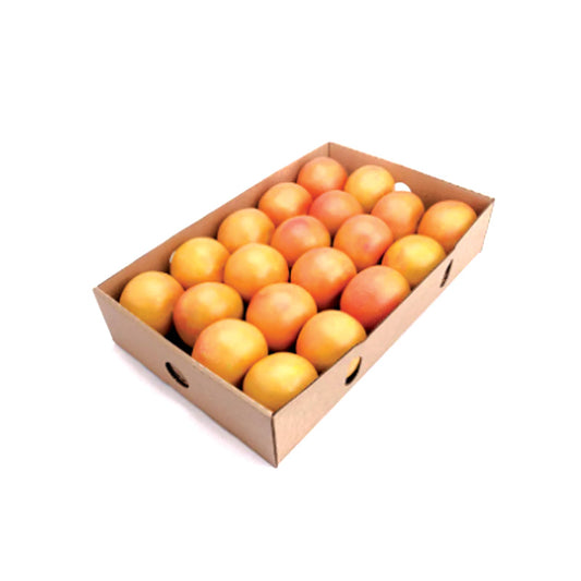 GRAPEFRUIT