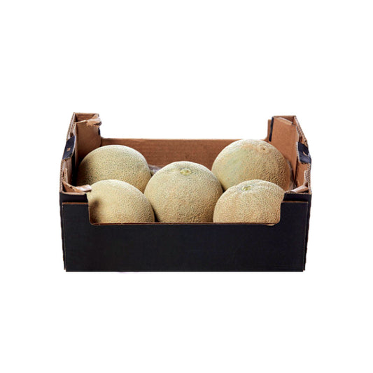 CANTALOUPE