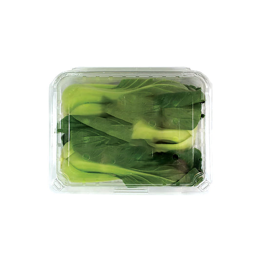 SHANGHAI BOK CHOY