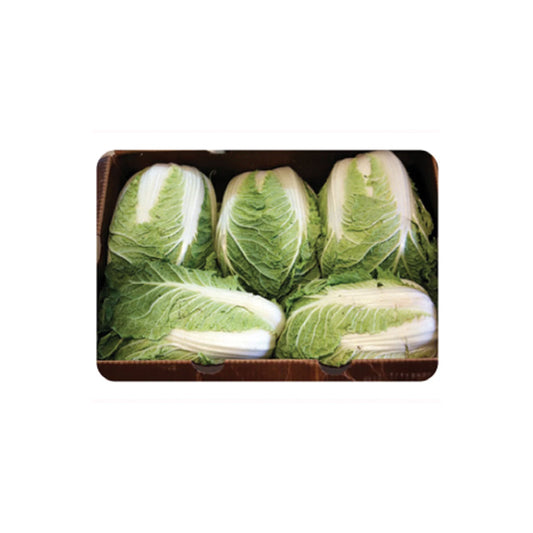 BABY NAPA CABBAGE