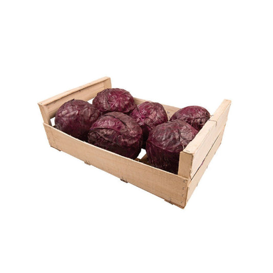 RED CABBAGE