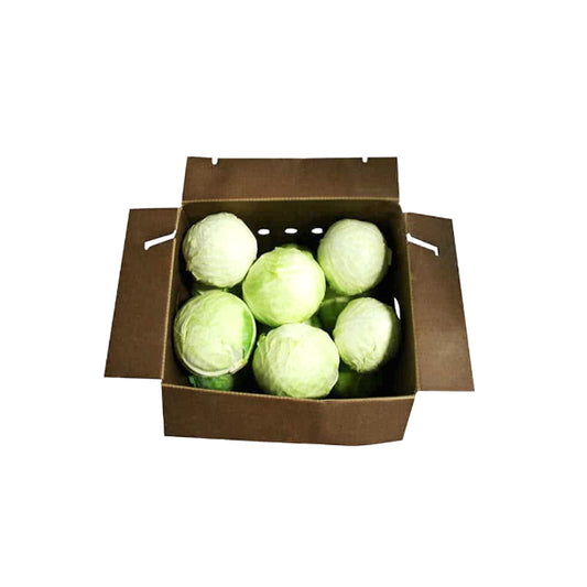 GREEN CABBAGE BOX