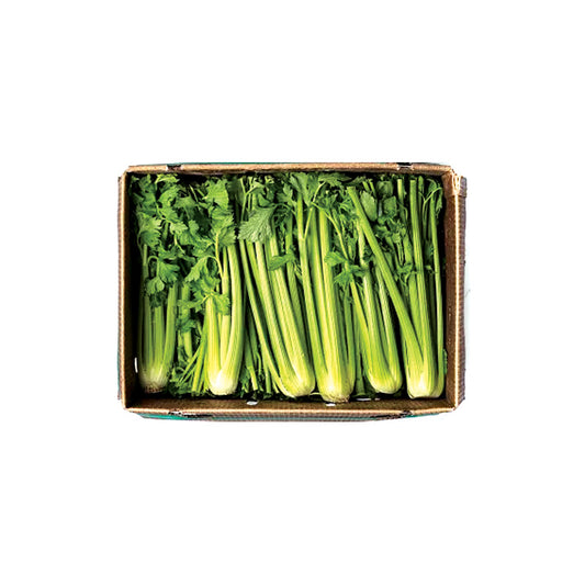 CELERY