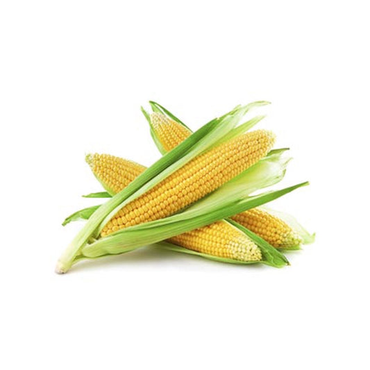 FRESH CORN