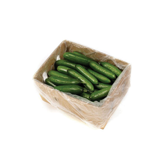 CUCUMBER
