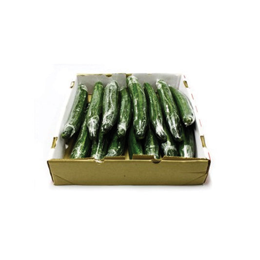 SEEDLESS CUCUMBER