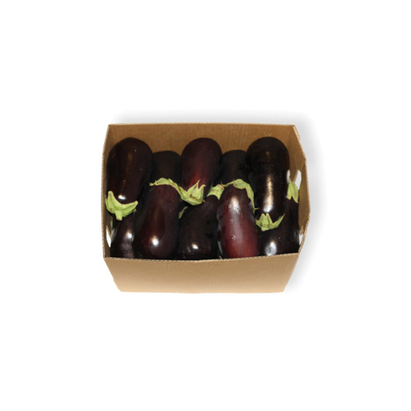 EGGPLANT CASE