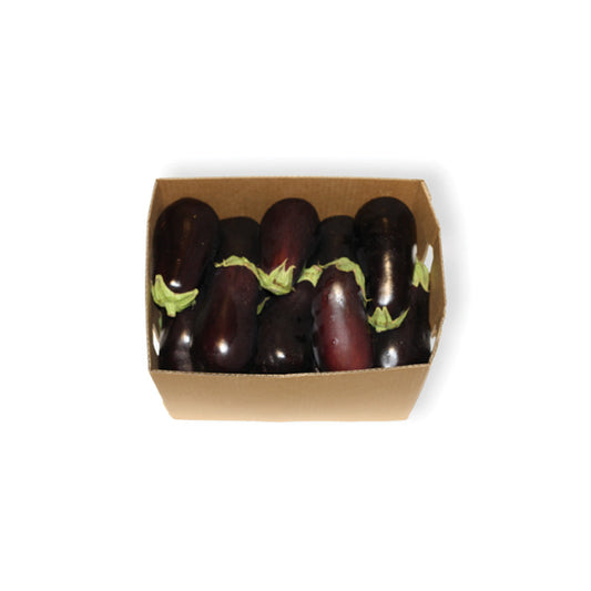 EGGPLANT CASE