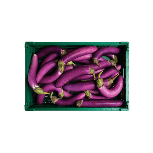 CHINESE EGGPLANT