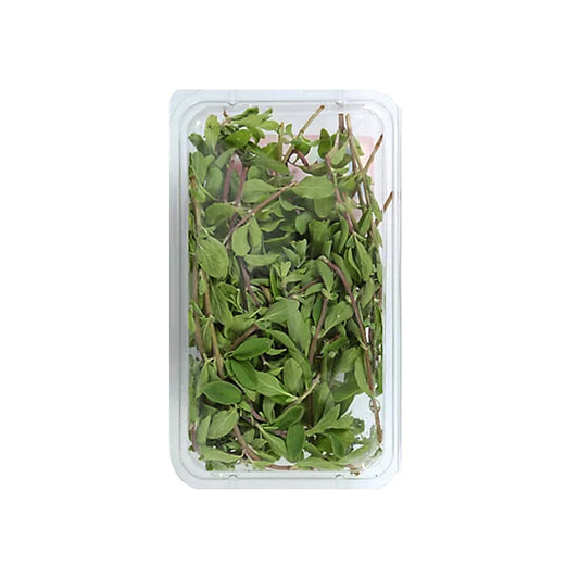 FRESH OREGANO