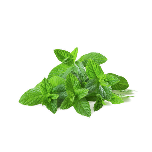 MINT