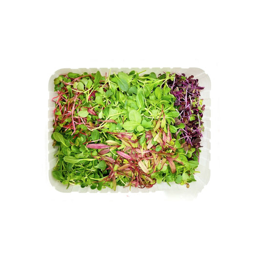 MICRO RAINBOW SPROUTS MIX